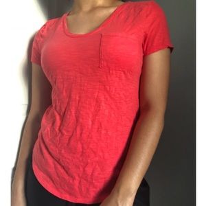 Ann Taylor Loft T-Shirt
